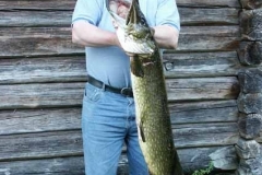Stora fiskar